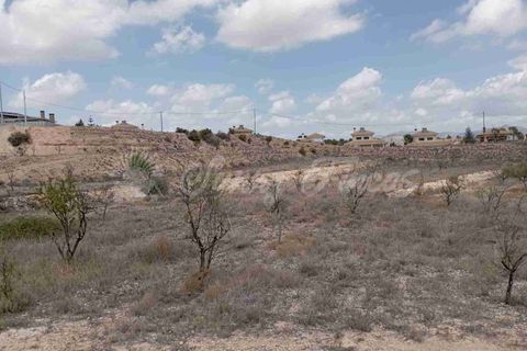 Helårsgrund i Monovar, Alicante, Monovar - € 69.995 | Ref: SF0514 - foto 12